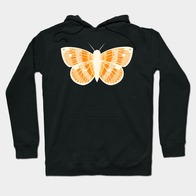 Orange Monarch Butterfly Hoodie by ROLLIE MC SCROLLIE